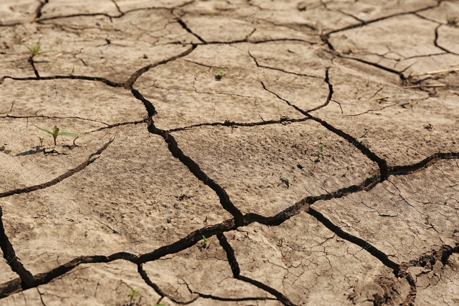 Photo of View of cracked ground surface on sunny day