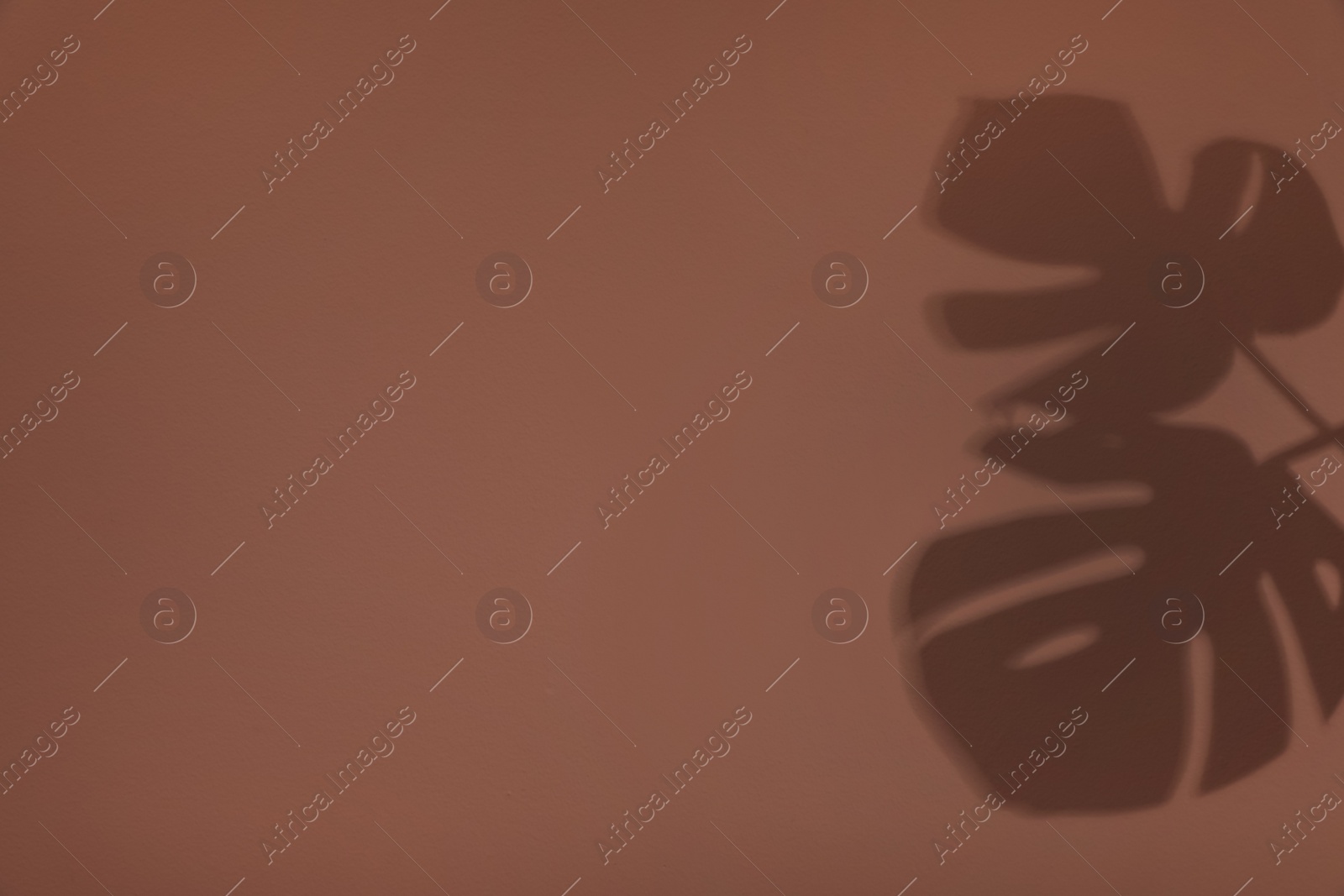 Photo of Shadows of monstera leaves on brown wall. Space for text