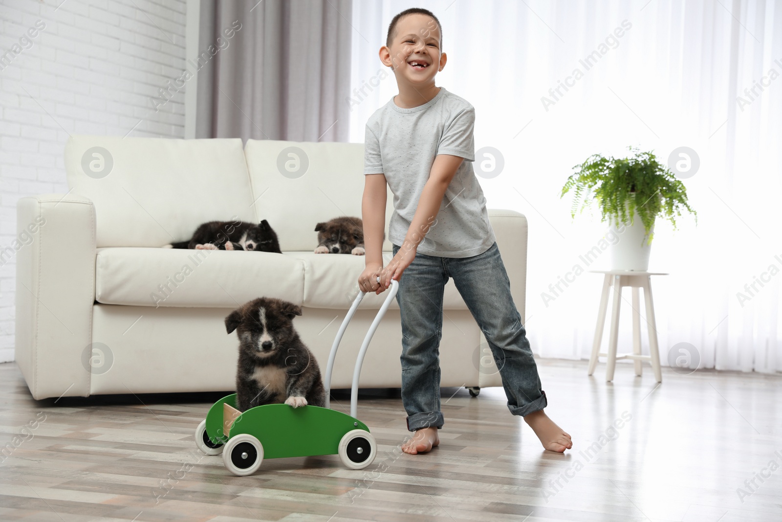 Photo of Little boy playing with Akita inu puppy at home. Friendly dog