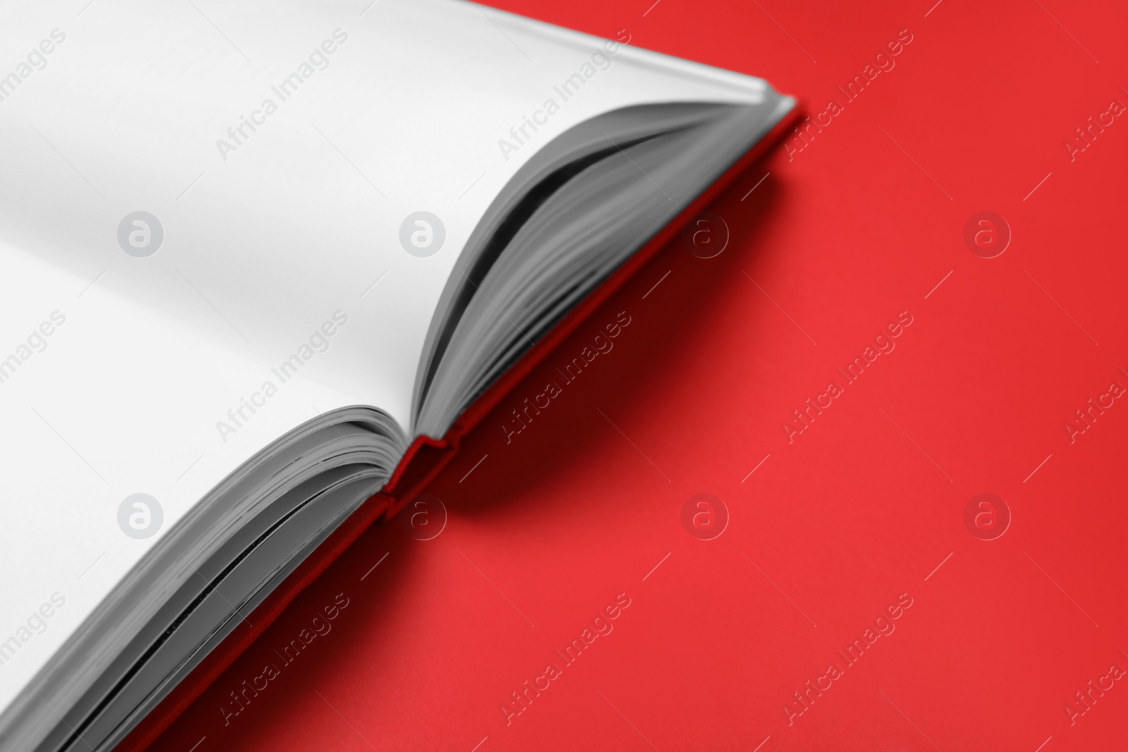 Photo of Open book on red background, closeup. Space for text