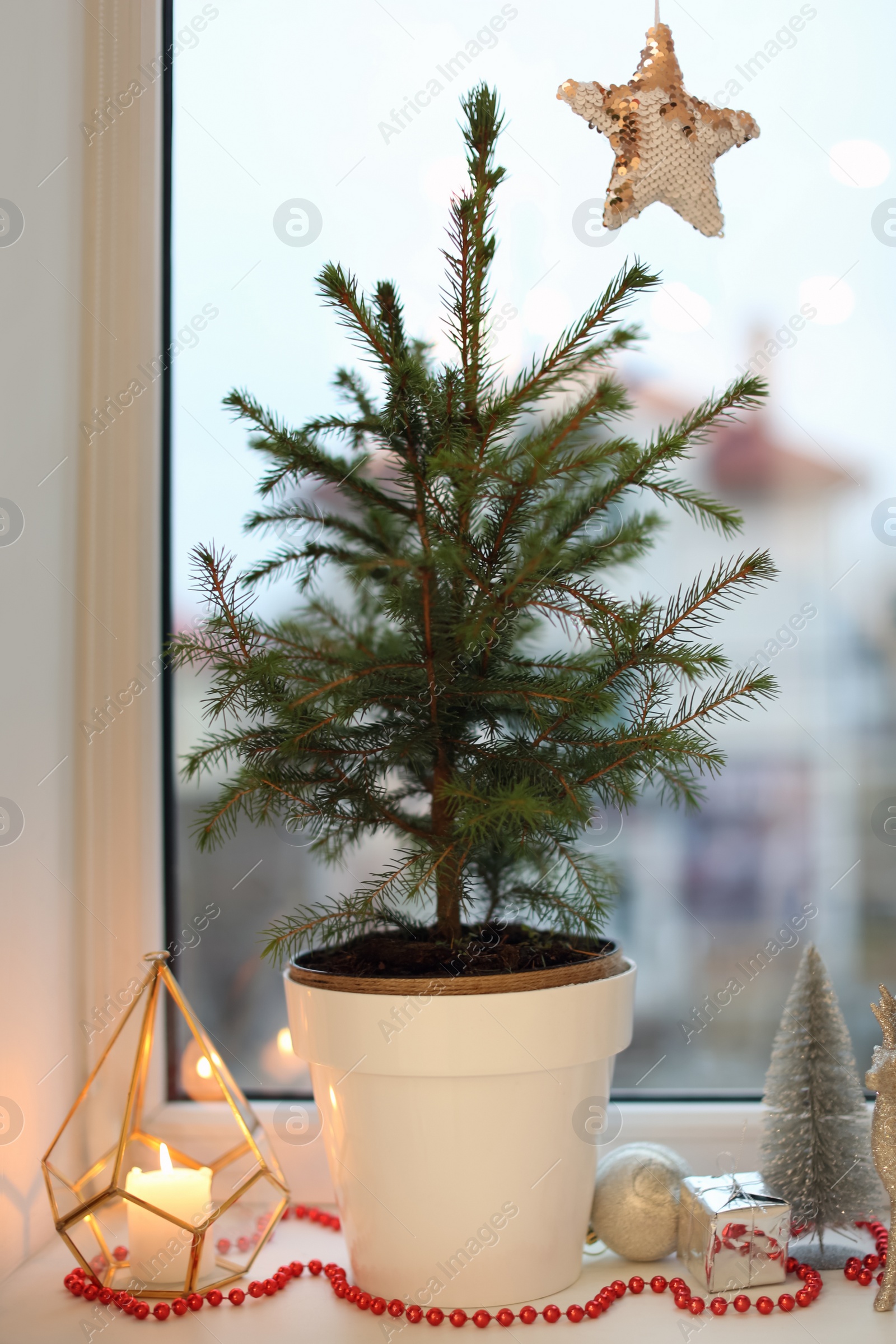 Photo of Small potted fir tree and Christmas decor on window sill indoors