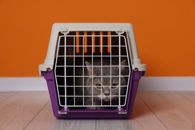 Photo of Travel with pet. Cute cat in carrier on floor near orange wall indoors