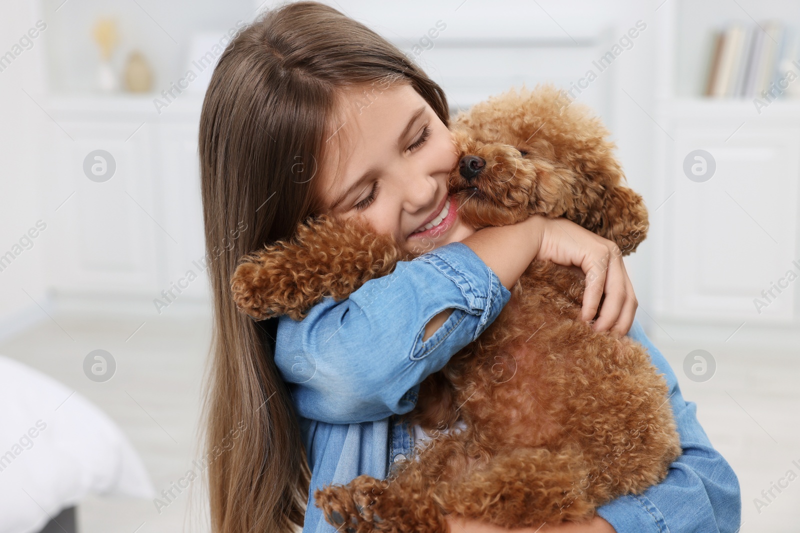 Photo of Little child with cute puppy at home. Lovely pet