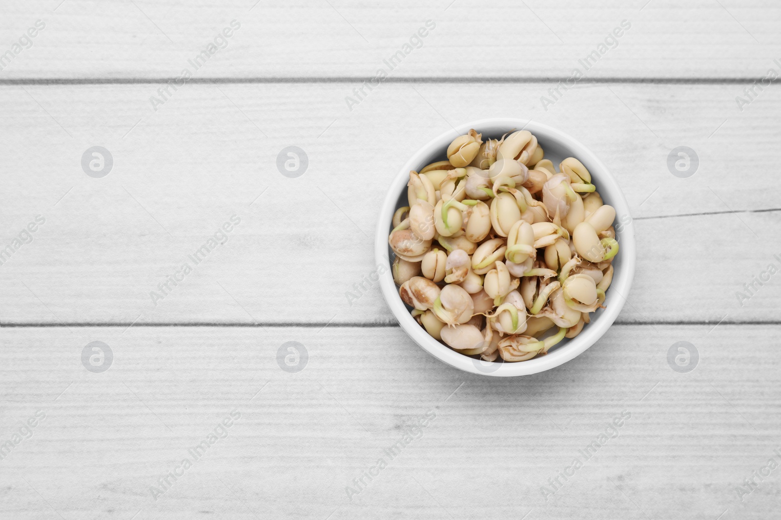 Photo of Sprouted kidney beans in bowl on white wooden table, top view. Space for text