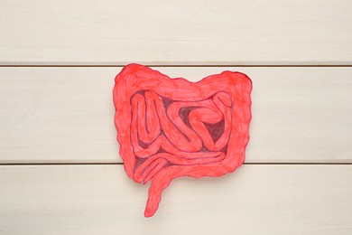 Photo of Paper intestine cutout on white wooden background, top view
