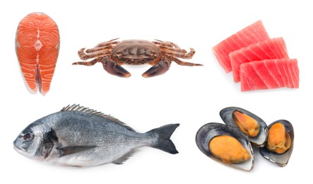 Dorado fish, crab, salmon, pieces of raw tuna and mussels isolated on white, set