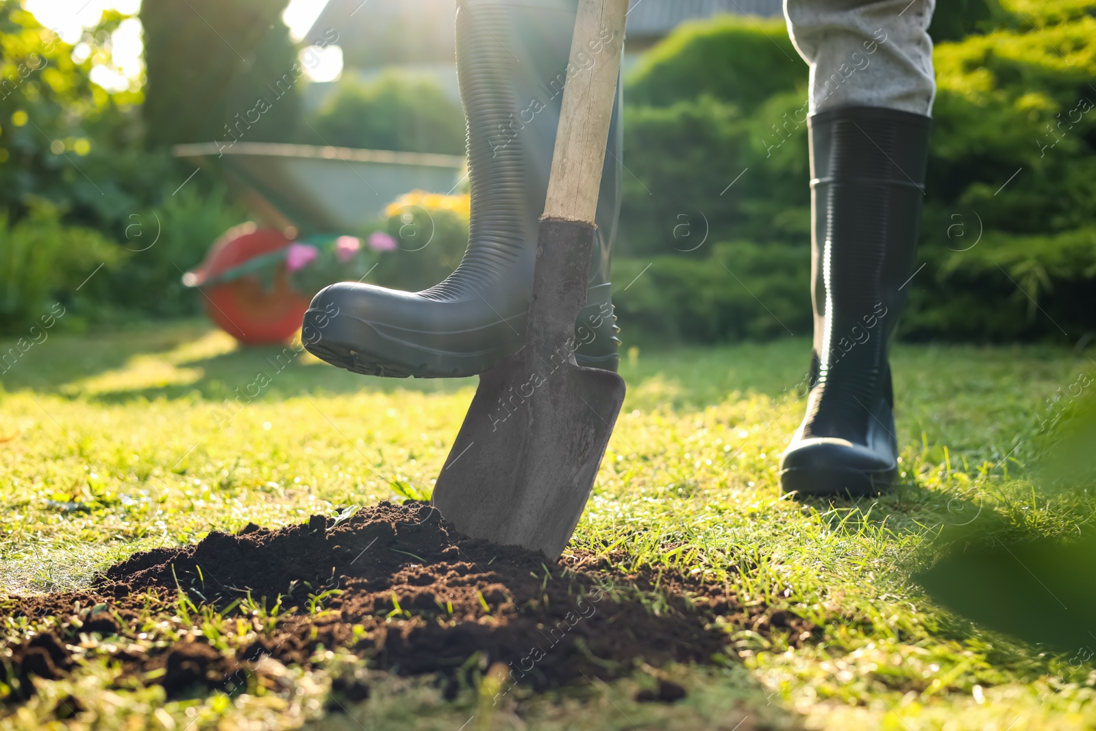 Photo of Man digging soil with shovel outdoors on sunny day, closeup. Gardening time