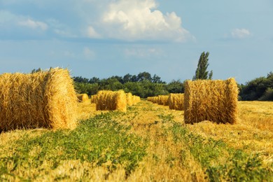 Beautiful view of agricultural field with hay bales