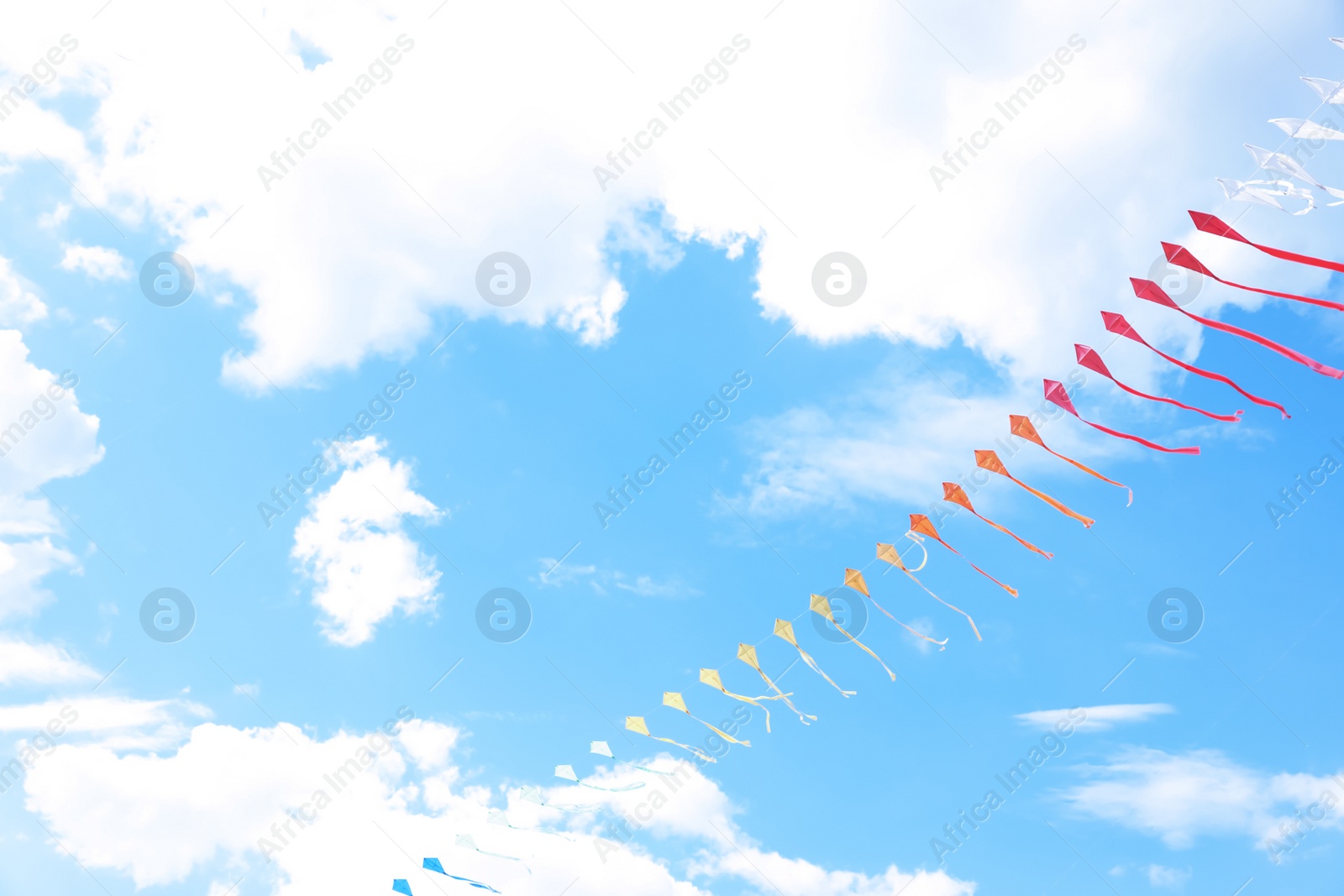 Photo of Beautiful kites drifting in blue sky