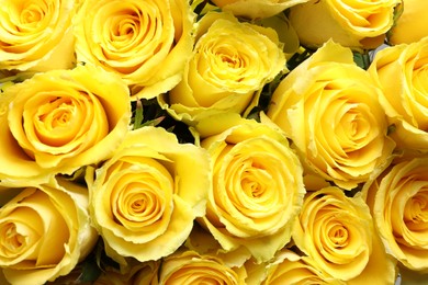 Photo of Beautiful bouquet of yellow roses as background, closeup