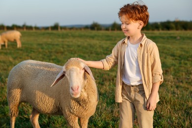 Photo of Boy stroking sheep on pasture. Farm animal