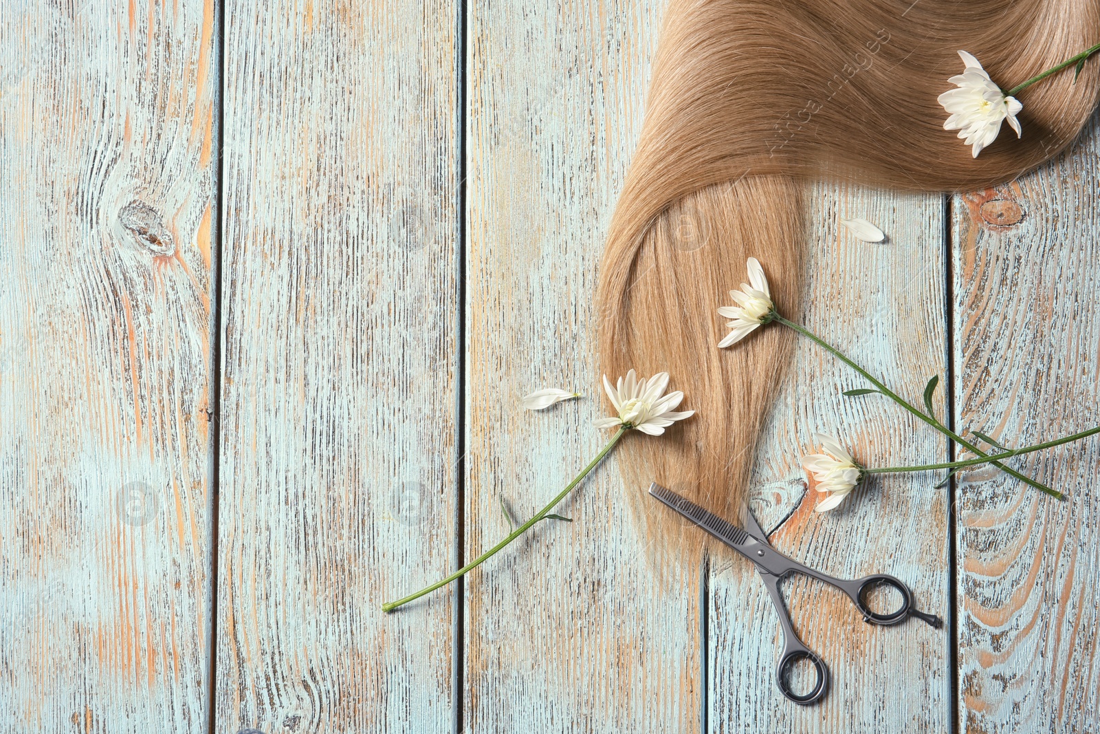 Photo of Composition with locks of blond hair and flowers on wooden background, flat lay. Space for text