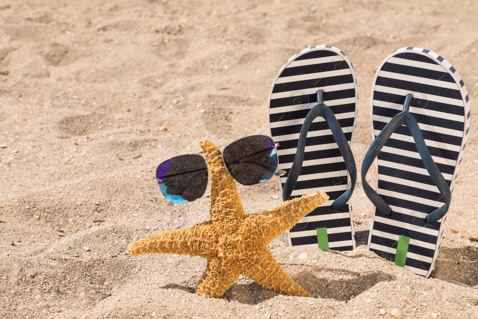 Photo of Stylish flip flops, sunglasses and starfish on sand, space for text