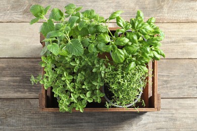 Crate with different potted herbs on wooden table, top view