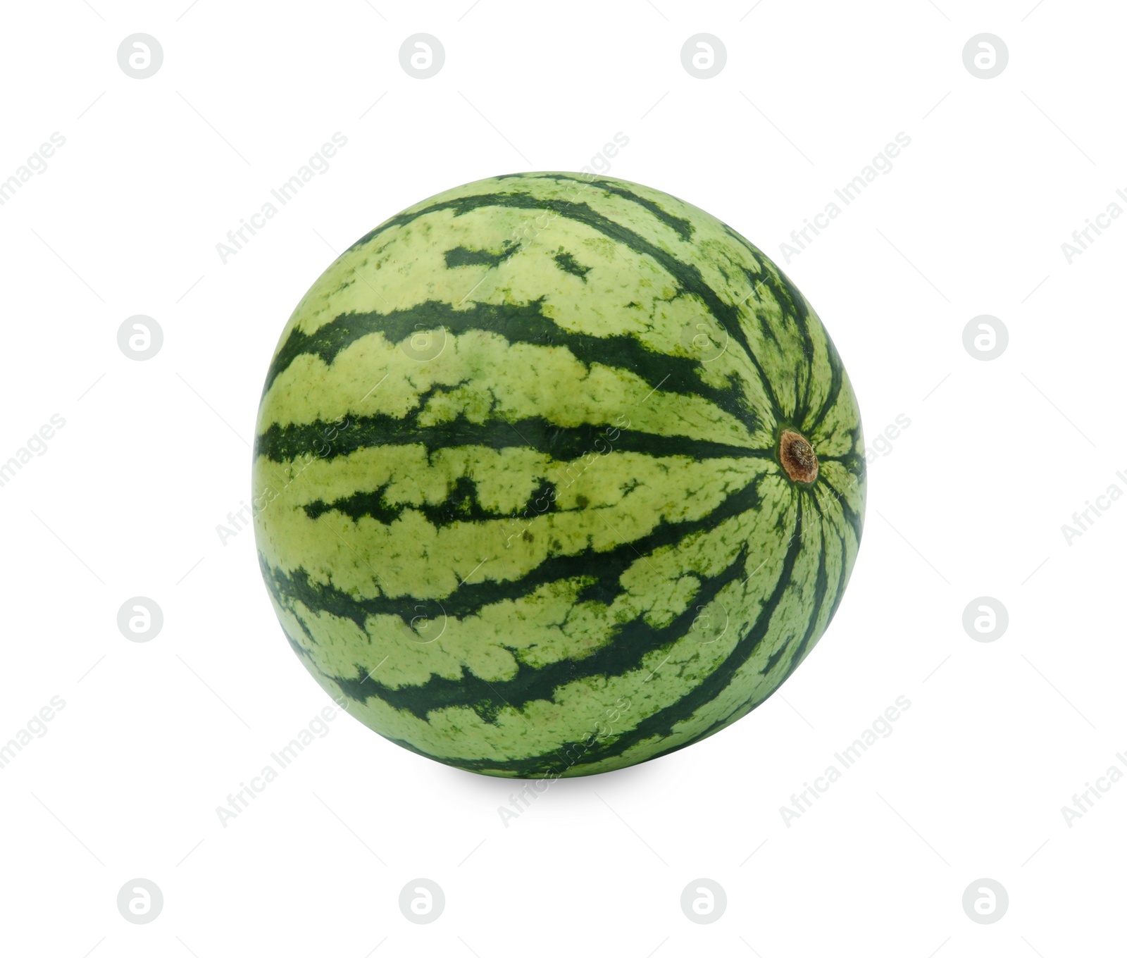 Photo of One whole ripe watermelon isolated on white