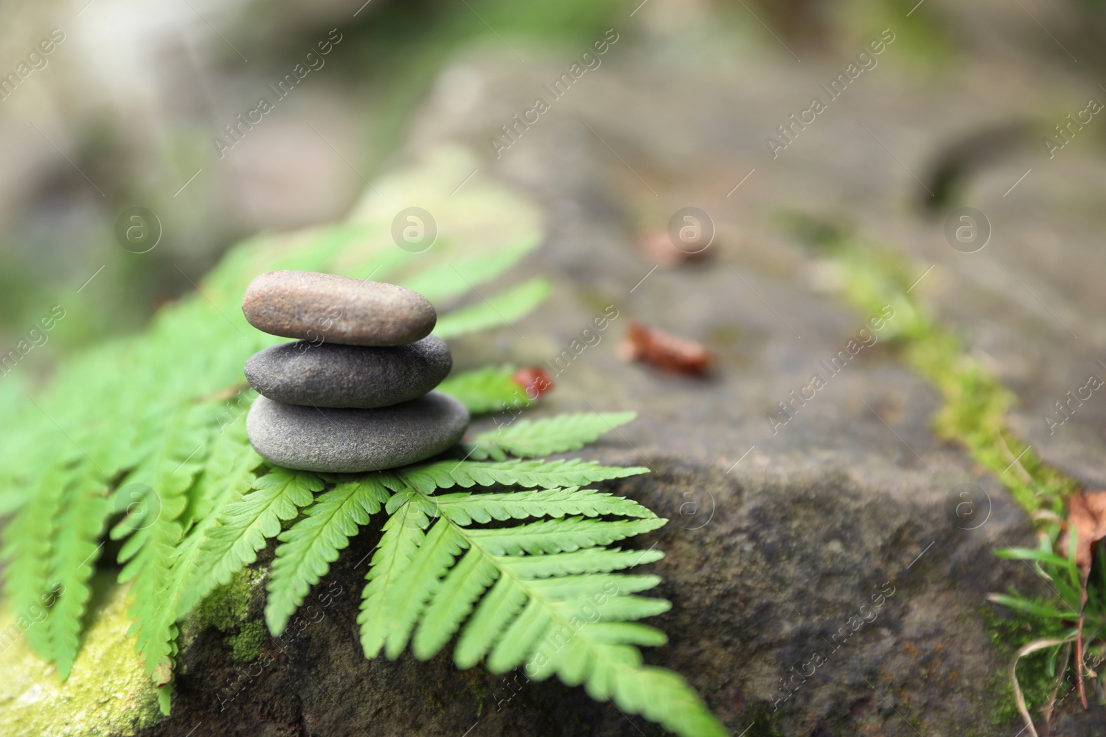 Photo of Balancing zen pebble stones outdoors against blurred background. Space for text