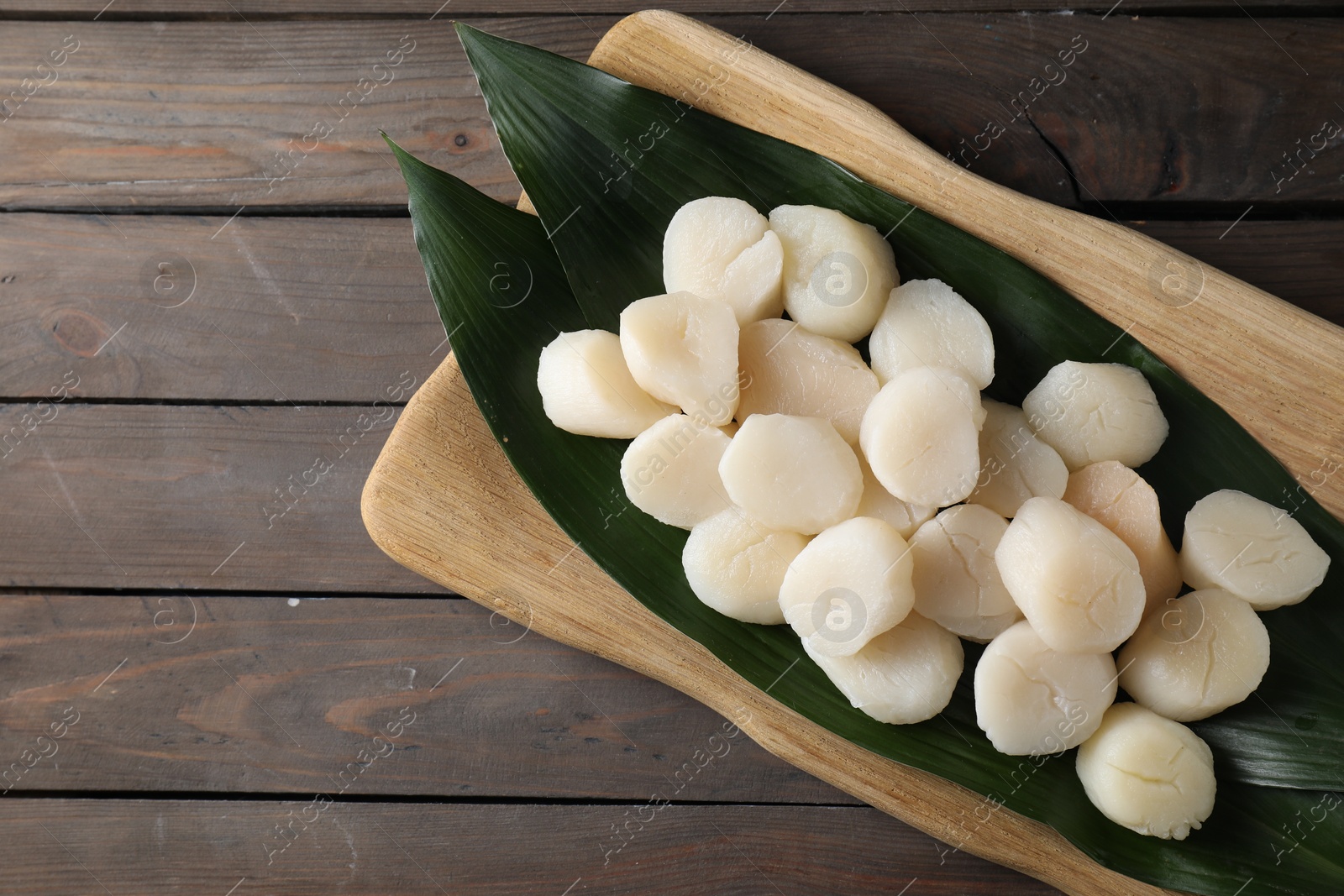 Photo of Fresh raw scallops on wooden table, top view. Space for text