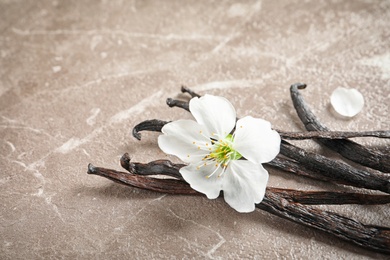 Vanilla sticks and flower on grey background, closeup