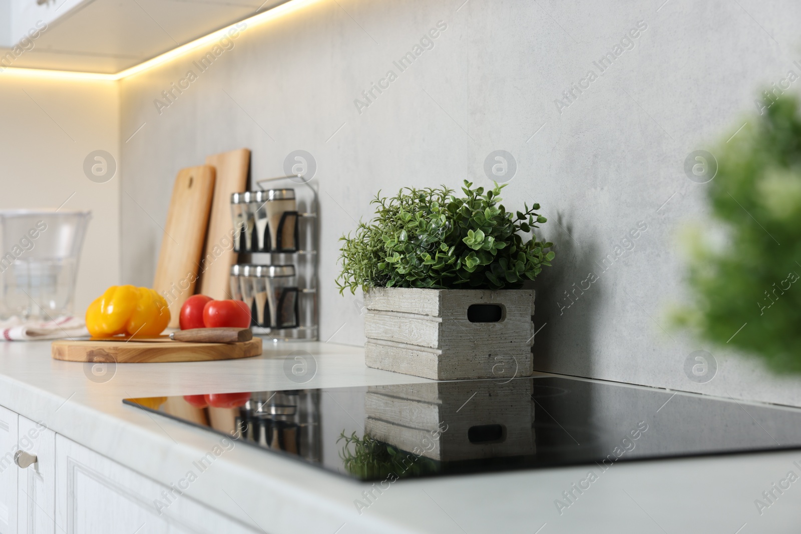 Photo of Potted artificial plant on white countertop in kitchen