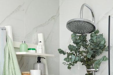 Photo of Branches with green eucalyptus leaves in shower