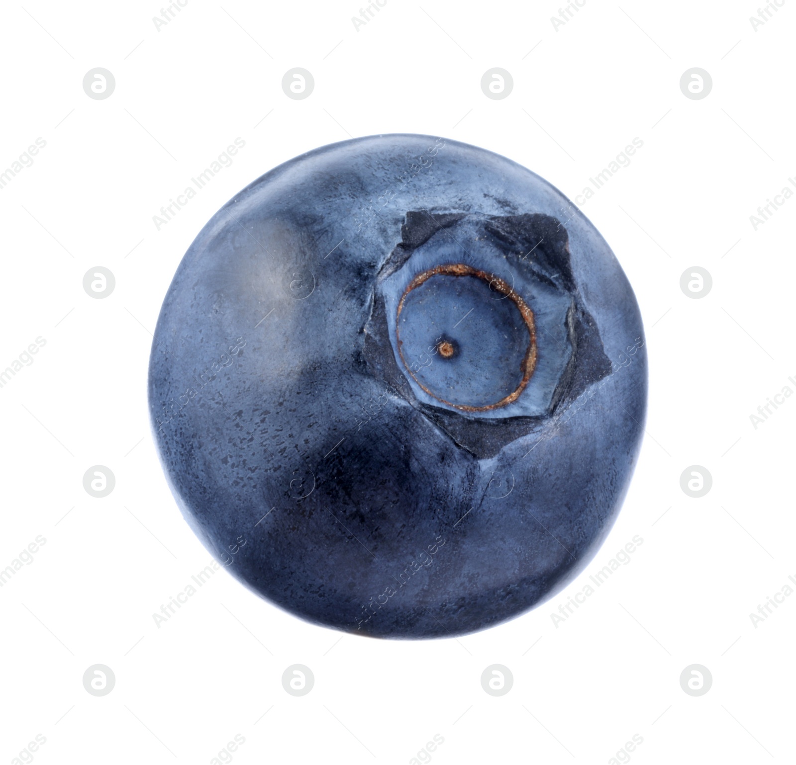 Photo of One fresh ripe blueberry isolated on white