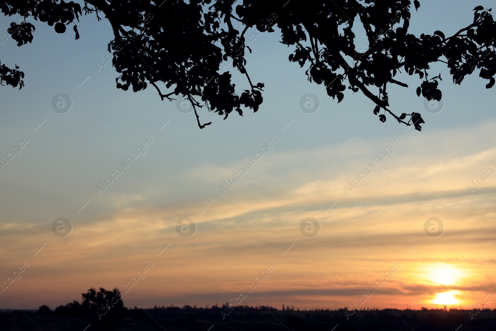 Photo of Picturesque view of beautiful countryside sunrise. Early morning landscape