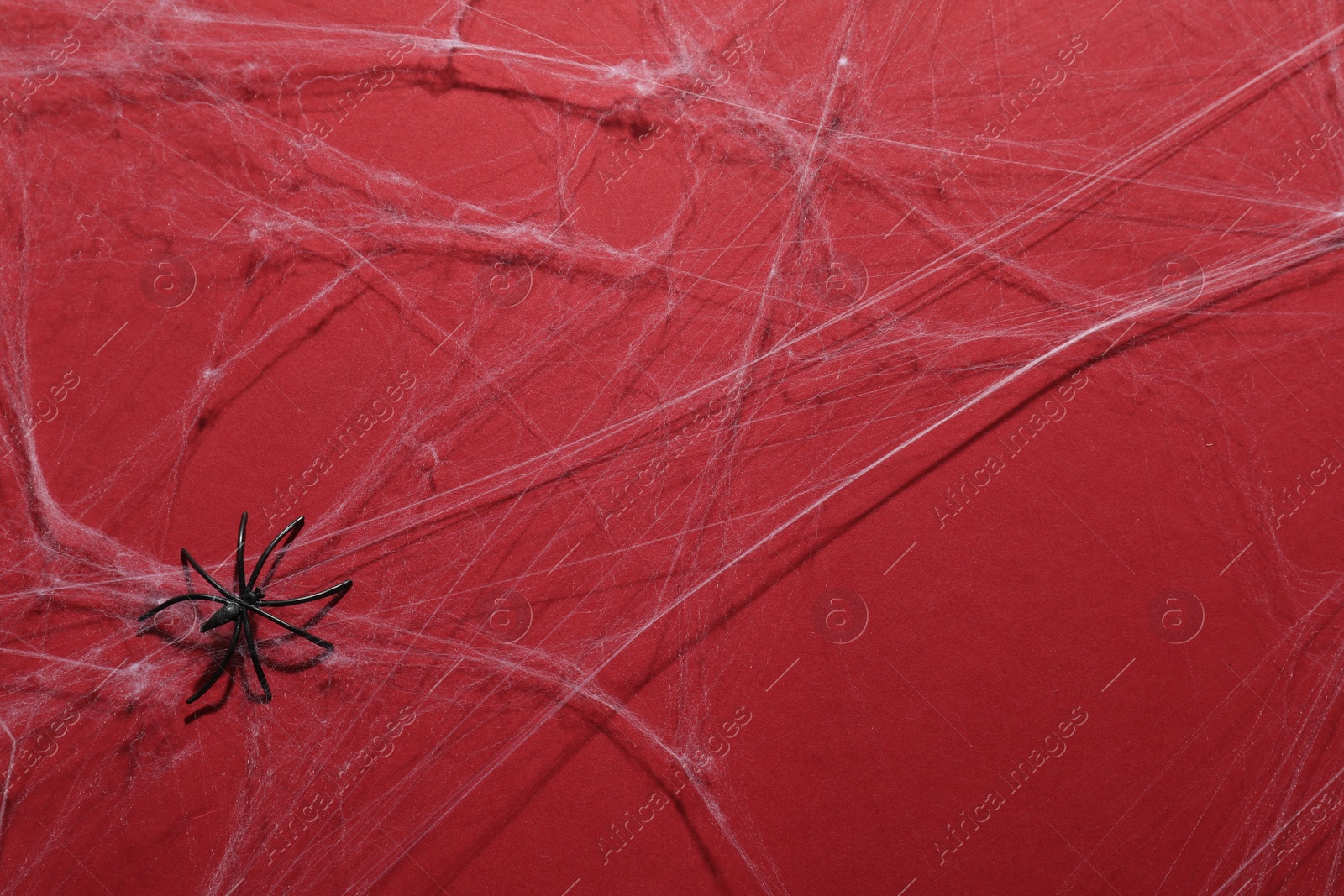 Photo of Cobweb and spider on red background, top view