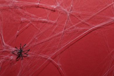 Cobweb and spider on red background, top view