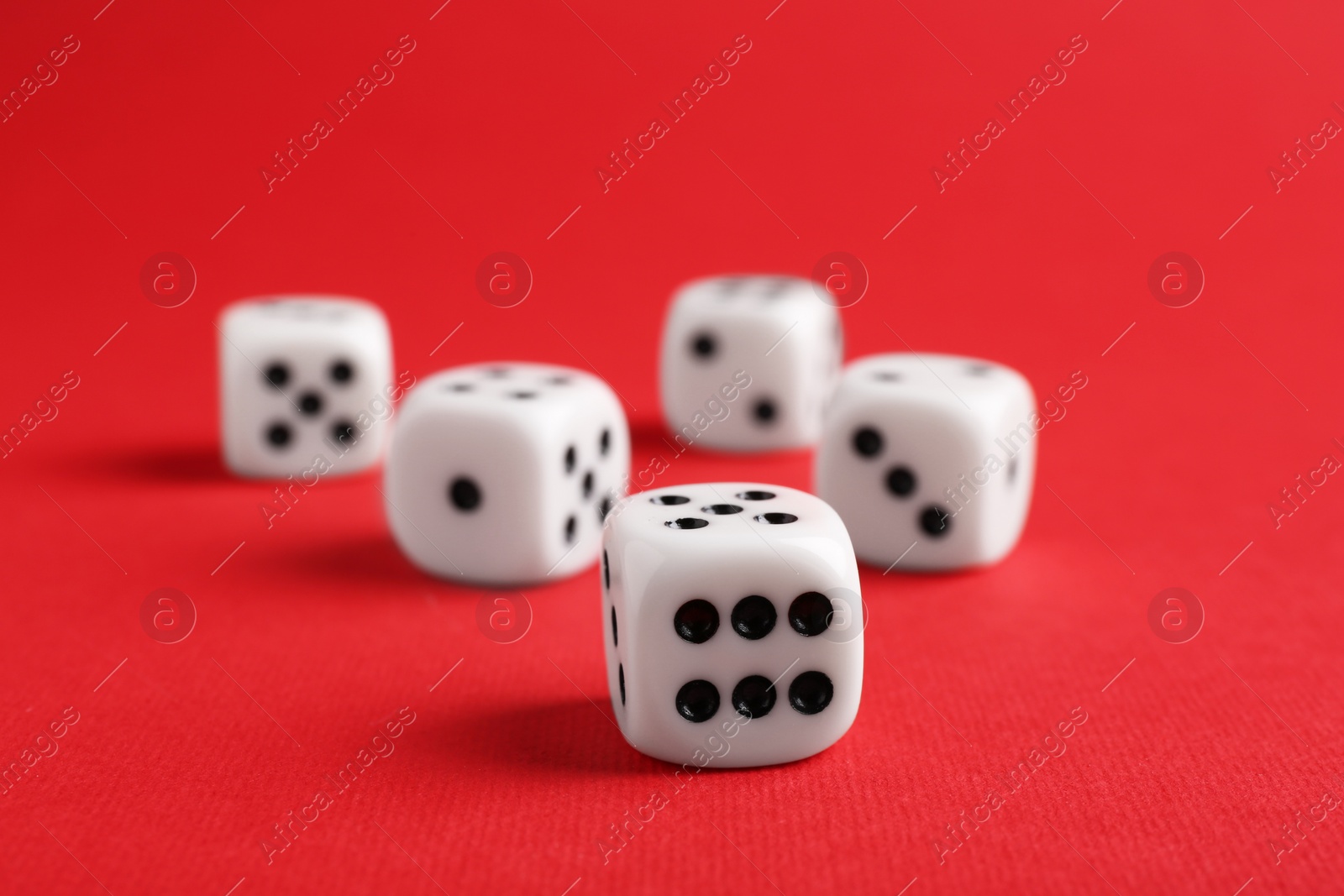 Photo of Many white game dices on red background, closeup