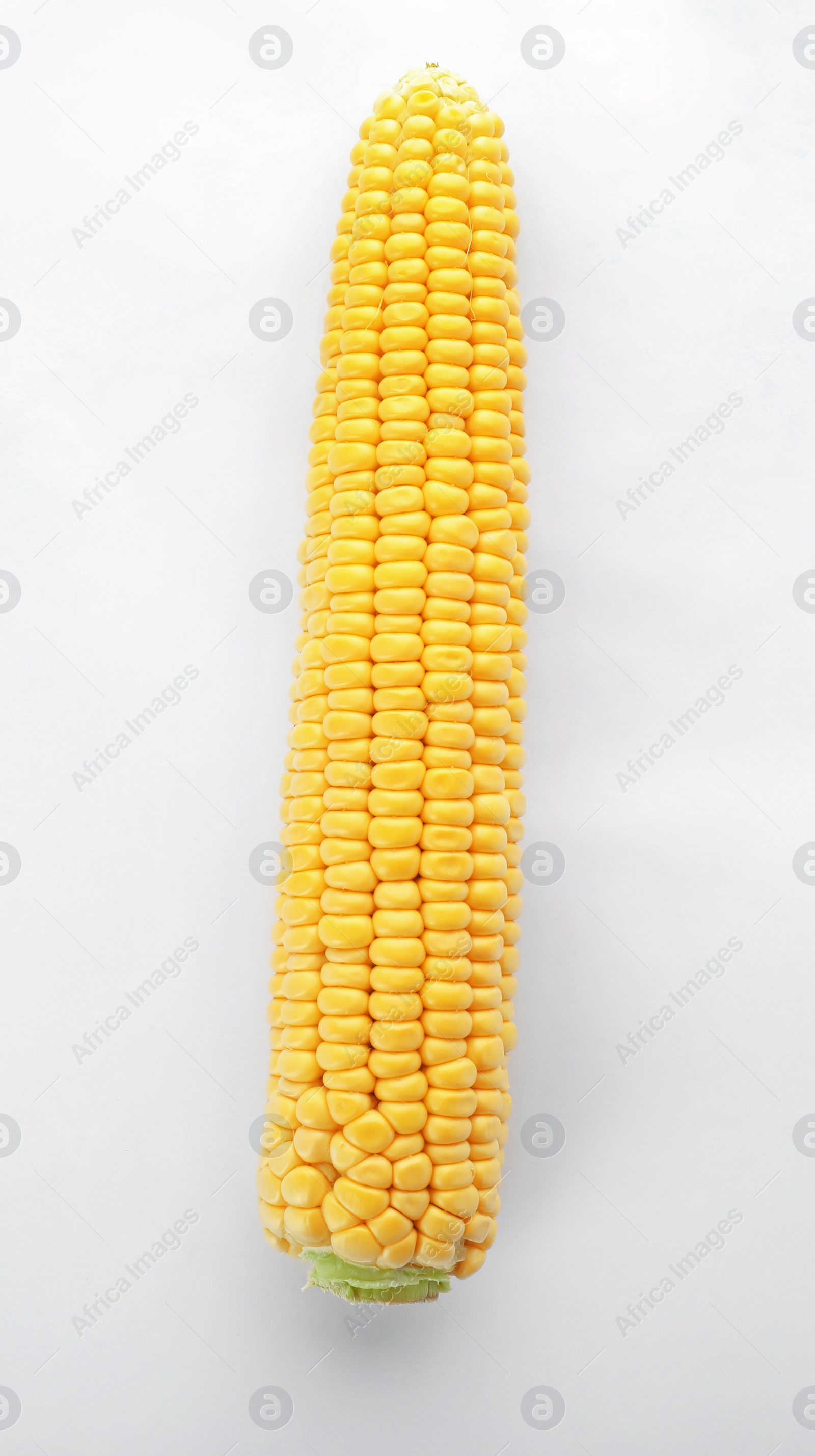 Photo of Tasty sweet corn cob on white background