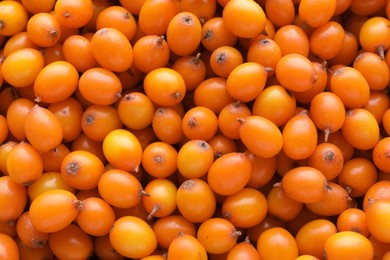 Fresh ripe sea buckthorn berries as background, top view