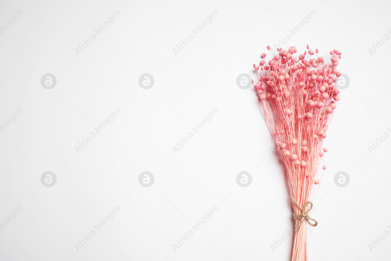 Photo of Bunch of beautiful dried flowers on white background, top view