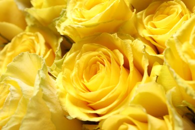 Photo of Beautiful bouquetyellow roses as background, closeup