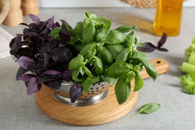 Metal colander with different fresh basil leaves on grey countertop