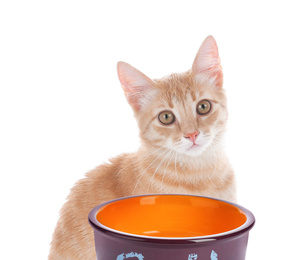 Image of Cute cat and feeding bowl on white background. Lovely pet