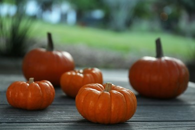 Many different pumpkins on wooden table outdoors