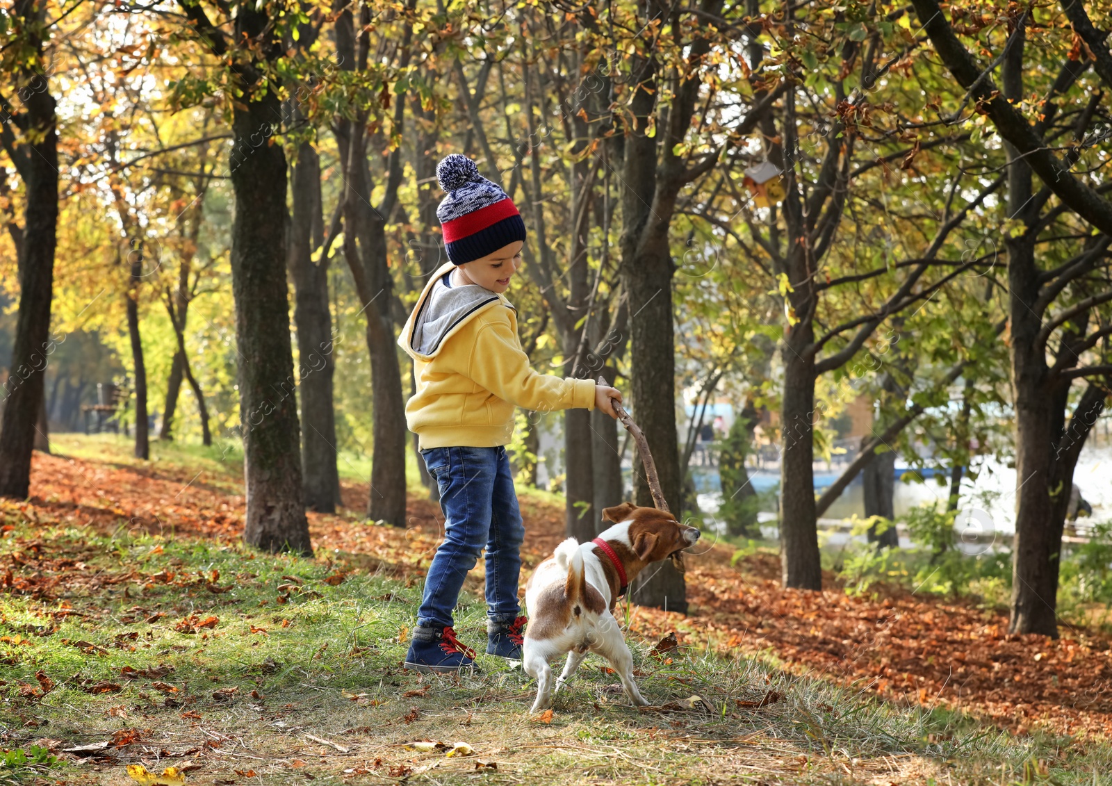 Photo of Cute little boy with his pet in autumn park