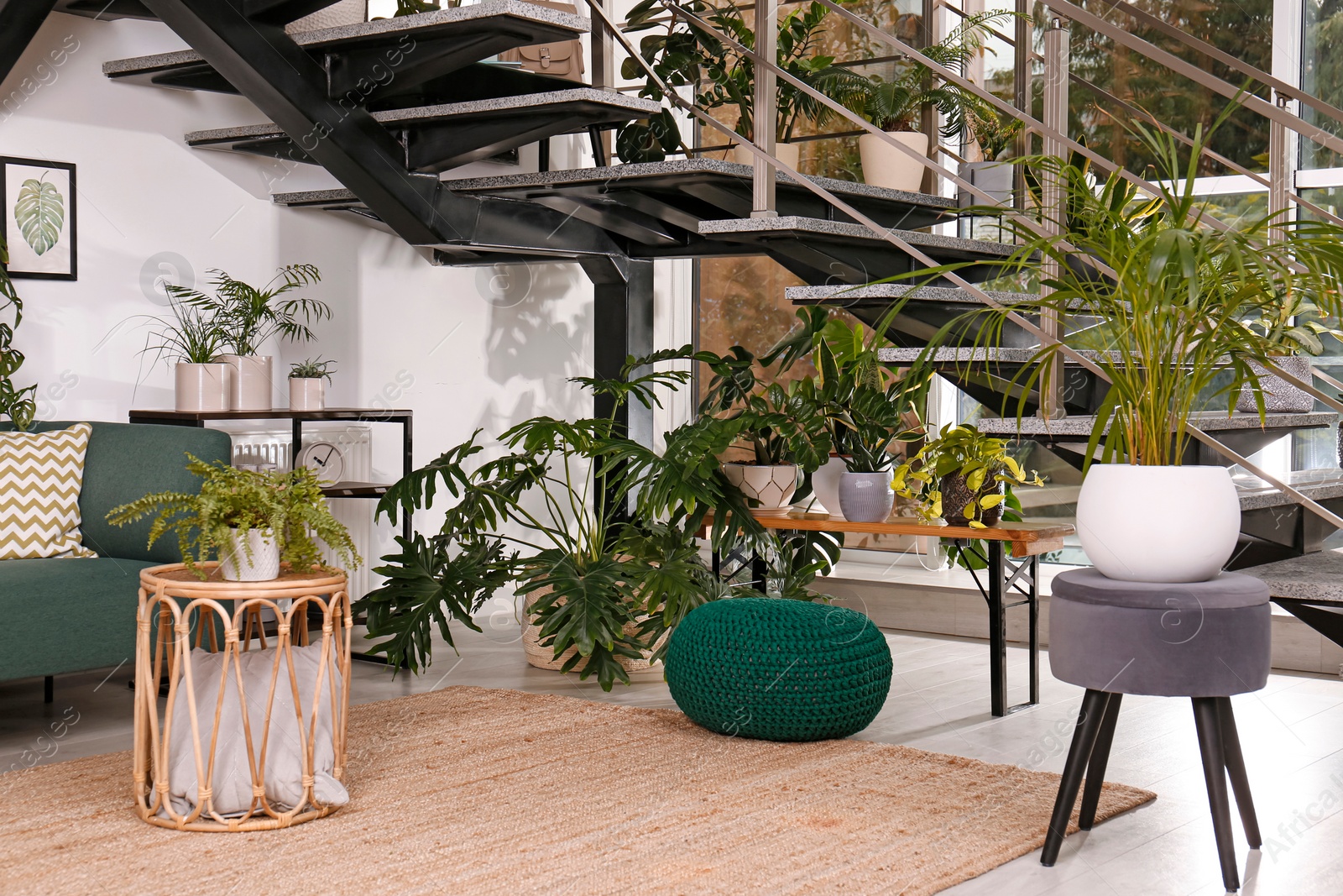 Photo of Stylish living room interior with comfortable sofa and green plants