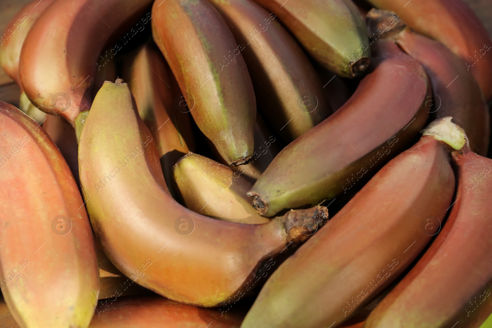 Photo of Delicious purple bananas as background, top view