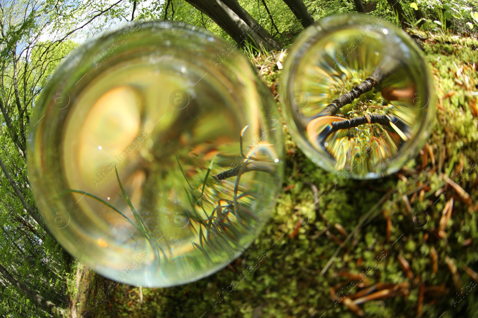 Photo of Green grass outdoors, overturned reflection. Crystal balls in forest