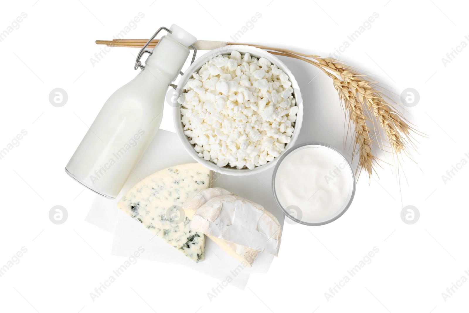 Photo of Different fresh dairy products and wheat ears isolated on white, top view