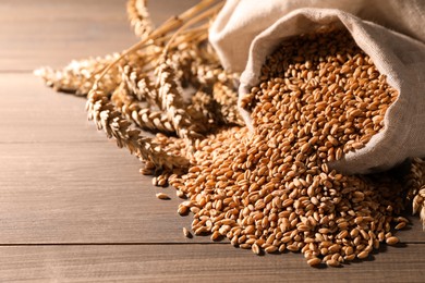 Photo of Wheat grains with spikelets on wooden table, space for text