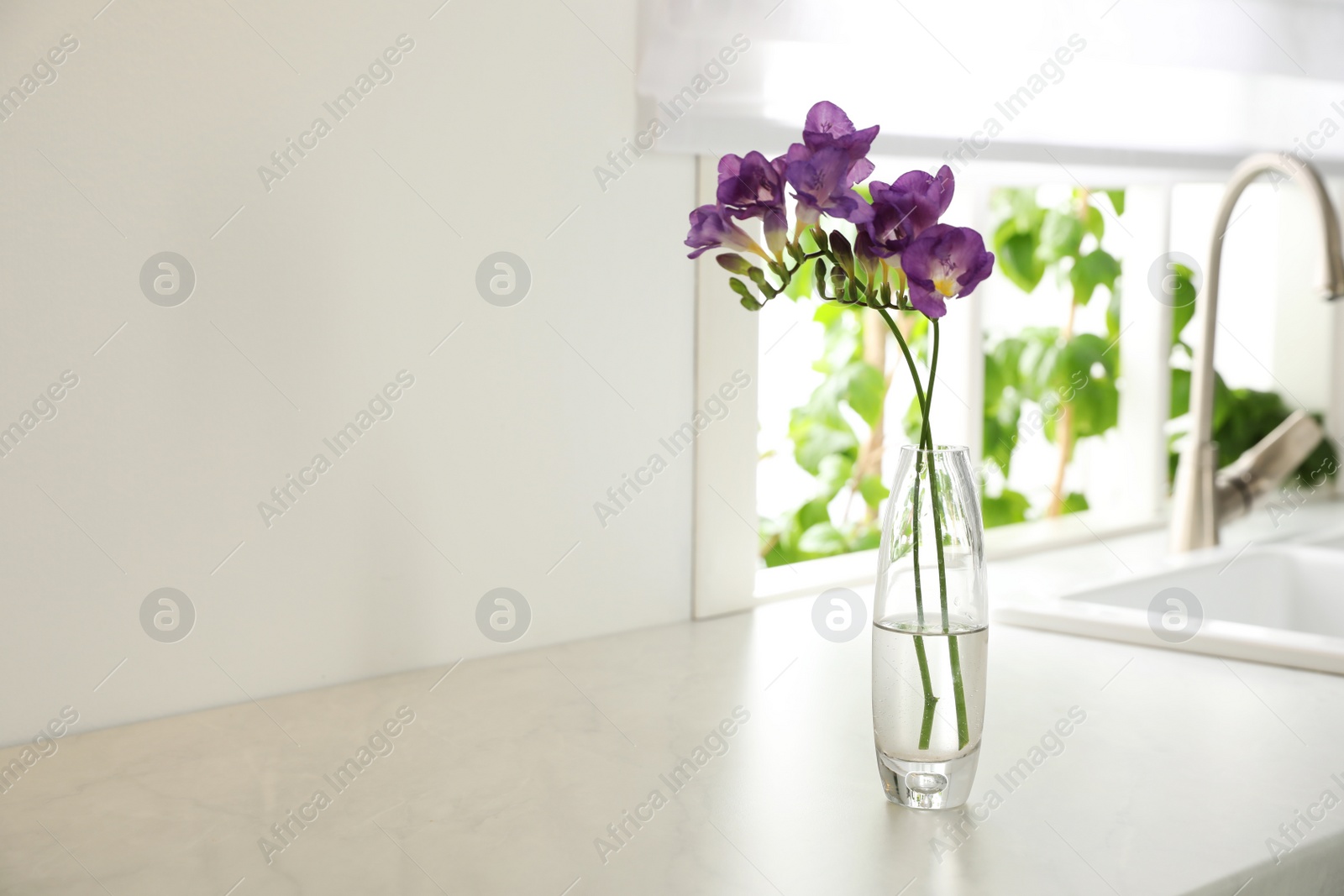 Photo of Beautiful purple freesia flowers on countertop in kitchen. Space for text