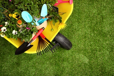 Photo of Wheelbarrow with flowers and gardening tools on grass, top view. Space for text
