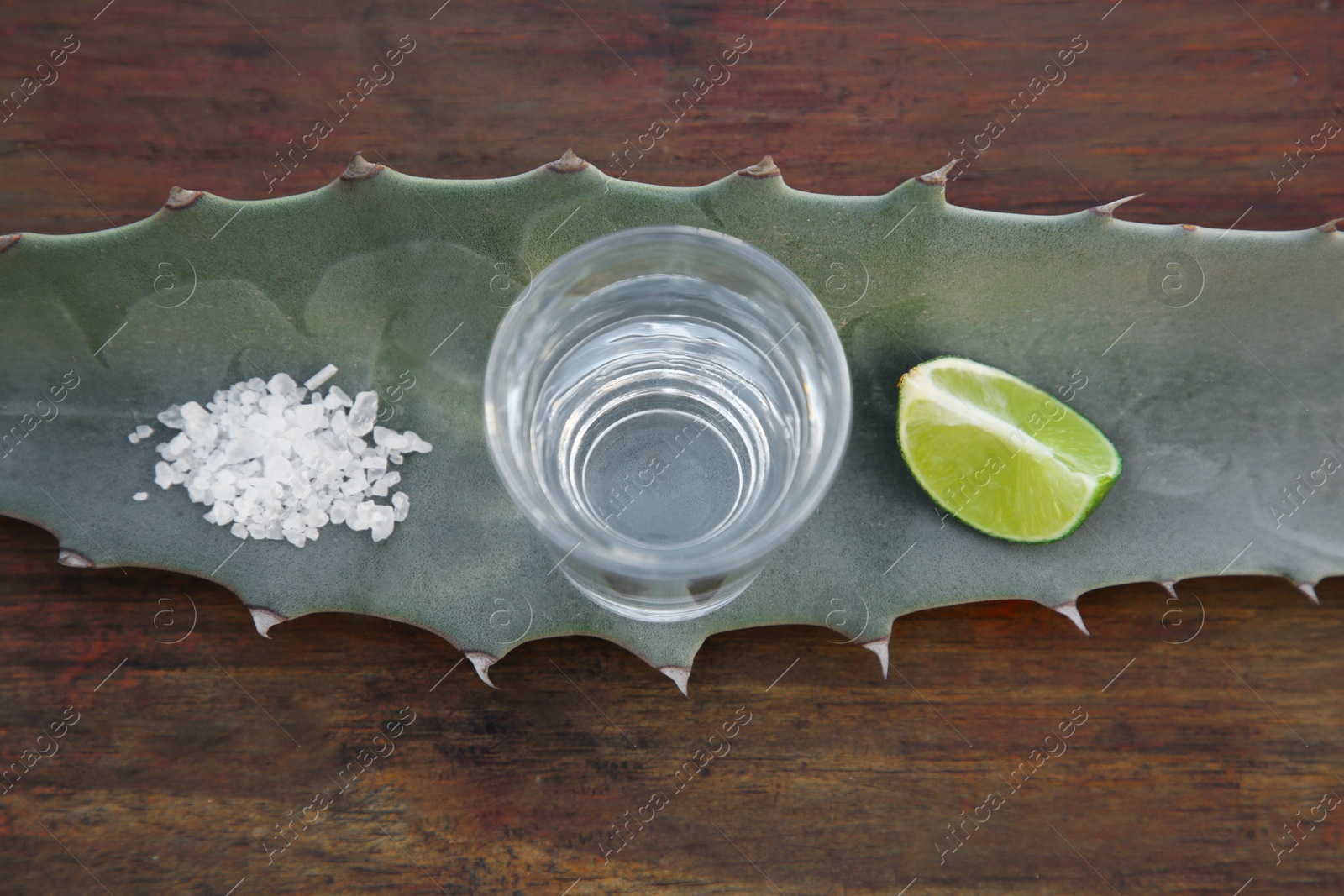 Photo of Mexican tequila shot, salt, lime slice and green leaf on wooden table, top view. Drink made of agava