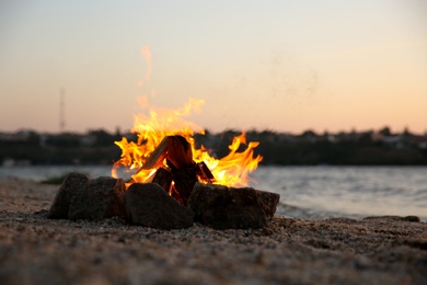 Beautiful bonfire with burning firewood on beach in evening