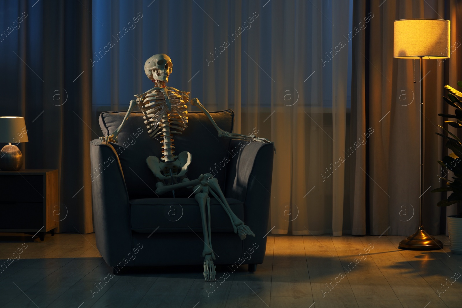 Photo of Waiting concept. Human skeleton sitting in armchair indoors, space for text