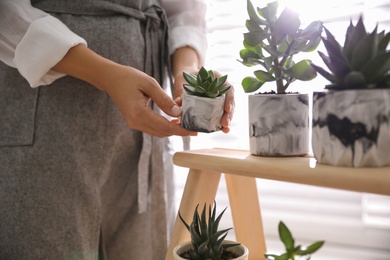 Photo of Woman with different beautiful succulents indoors, closeup