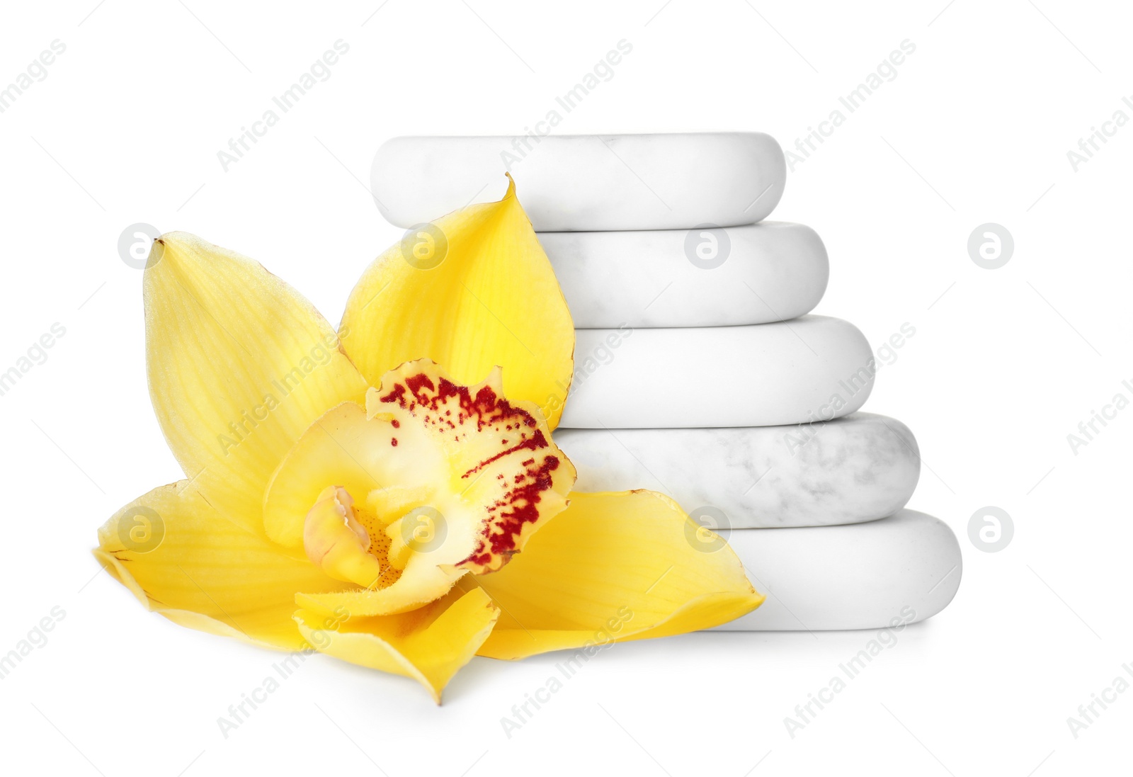 Photo of Stacked spa stones and beautiful orchid on white background