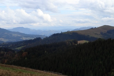 Beautiful mountain landscape with conifer forest on autumn day